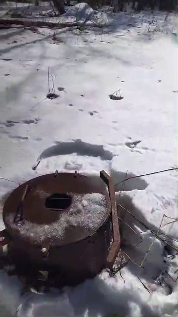 Угодья. Вести с полей.