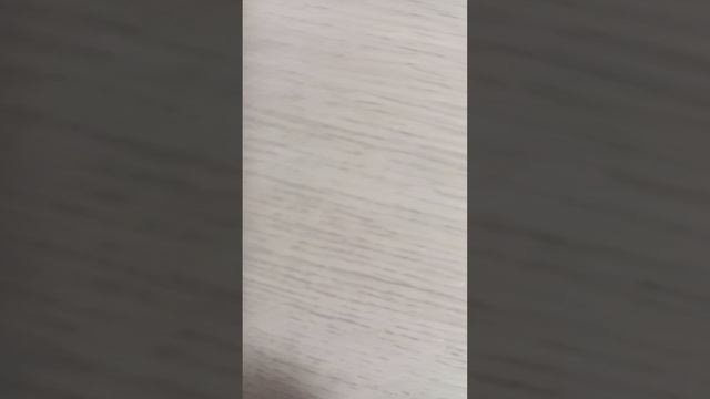 ?бокс для Маруси и Крысуни¿
