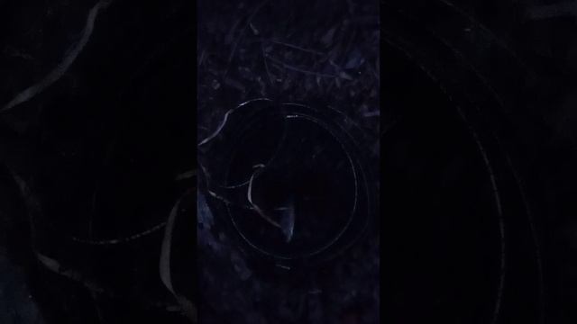 Рыбалка.Вечер.Итог.4апреля2025