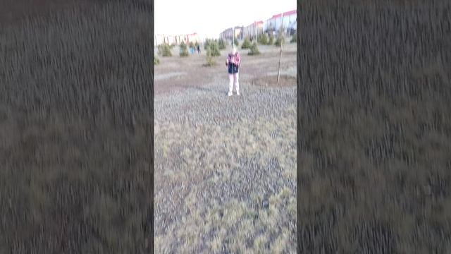 29.03.2025. г. Сорочинск.