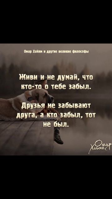 живи и не думай