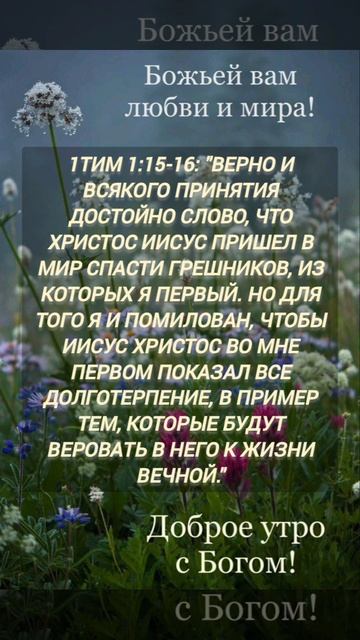 1 Тимофеб