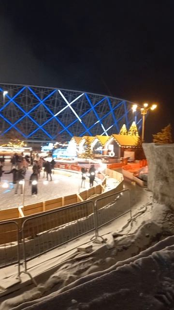 Мой город прекрасен и зимой и летом. Зима в Центральном парке.mp4