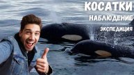 Косатки. Экспедиция. Камчатка. Видеопрограмма.