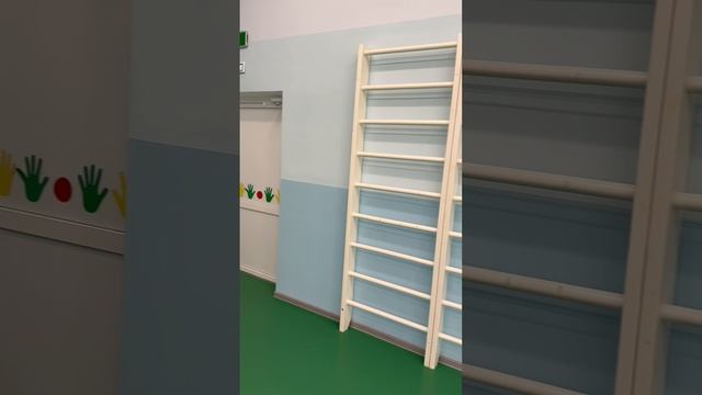 Развивающая предметно-пространственная среда спортивного зала