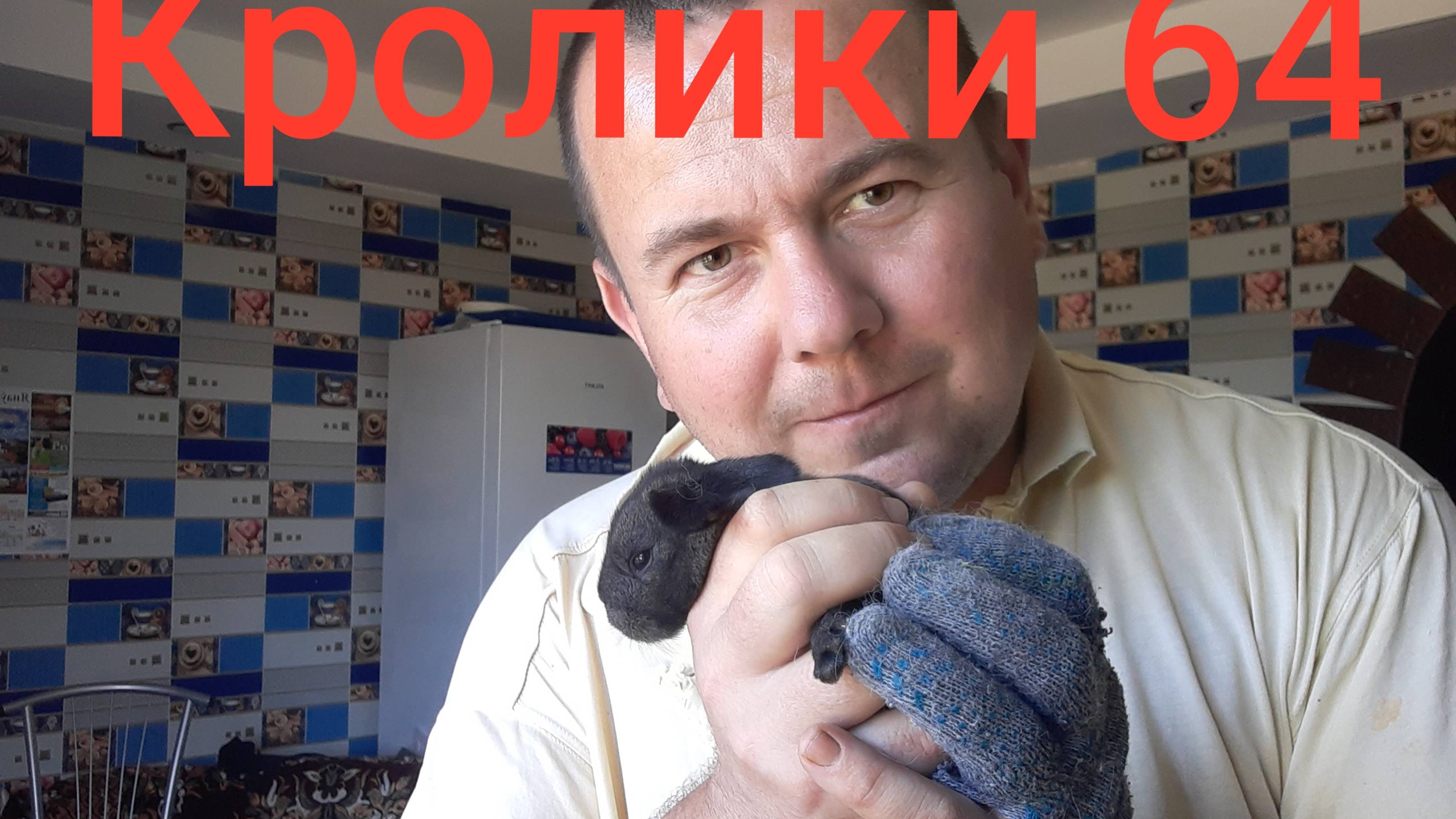 Кролики 64 ...