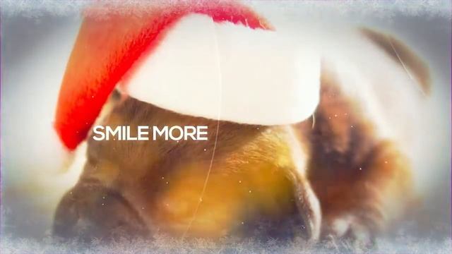 Christmas Slideshow AFTER Effects Template Videohive 13614452