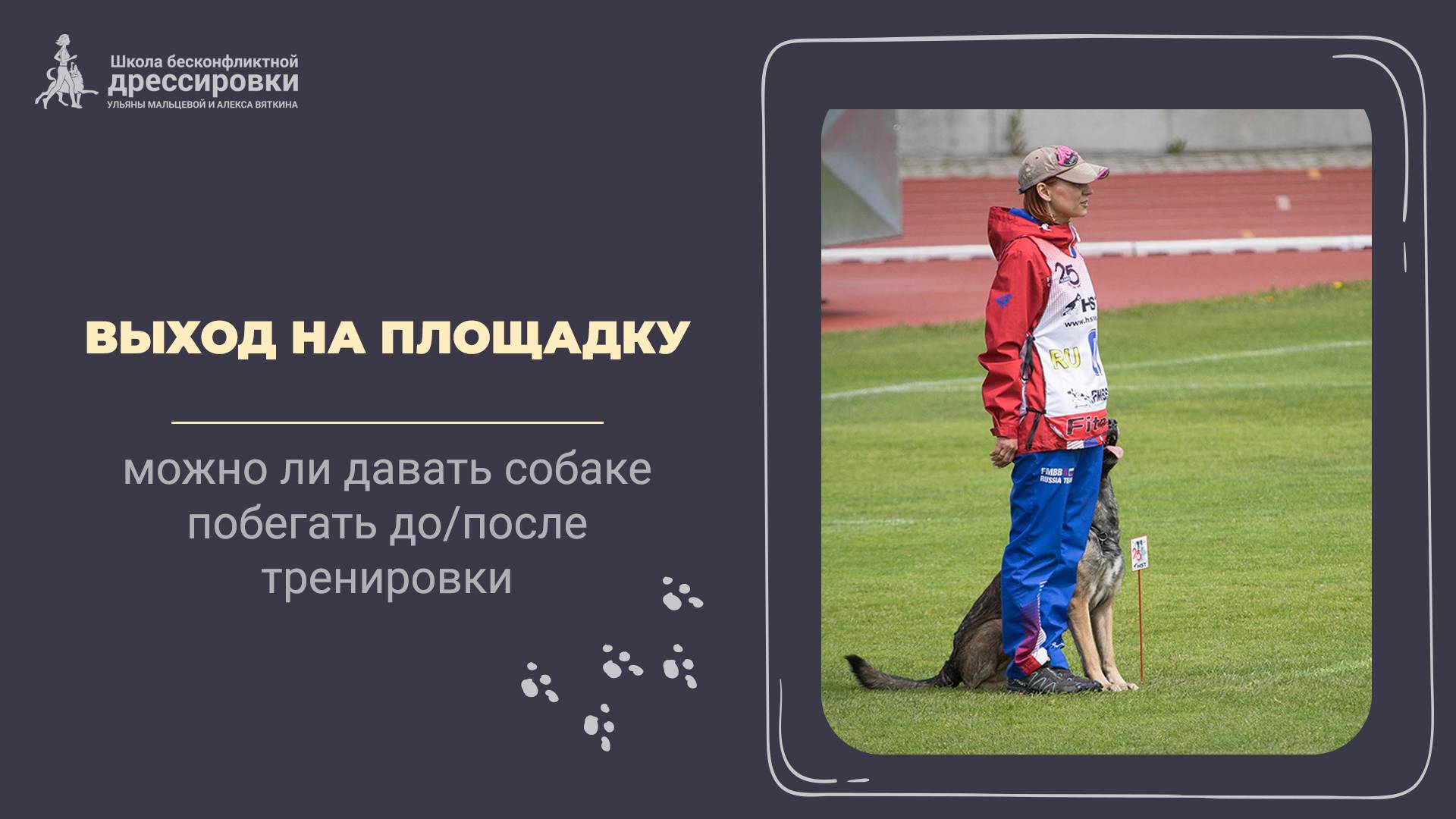 Выход на площадку. Можно ли собаке давать побегать/понюхать после тренировки?