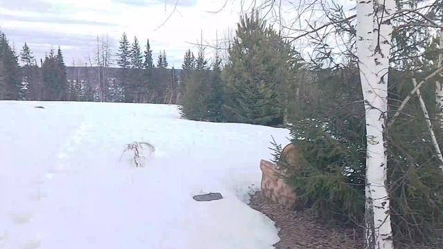 сезон начинается