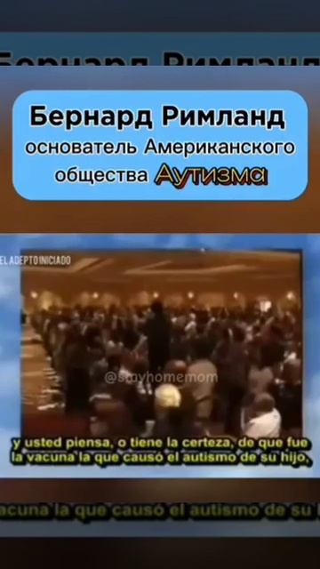 VID_20240815_234841_646.mp4