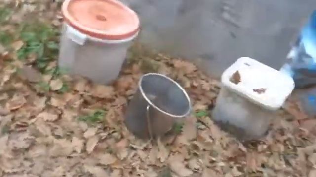 Тот самый кот. Панели зимой.
