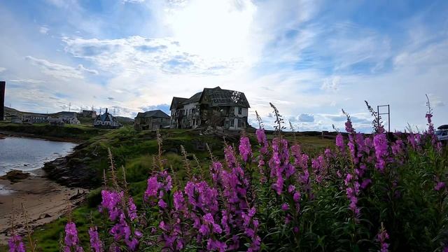 Дальние Зеленцы в июле