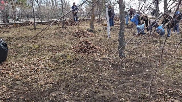 Субботник 🌲✅️