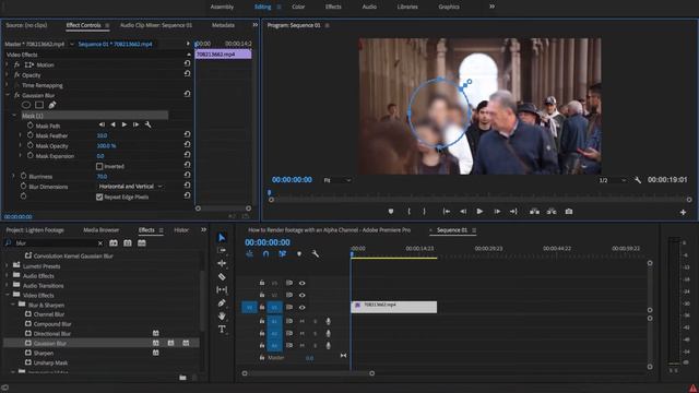 How to blur footage and animate blur - Adobe Premiere Pro