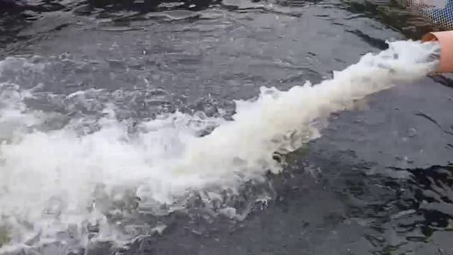 2426595917377276985