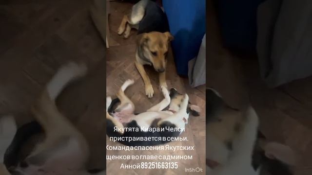 06-04-2025 Киара и Челси