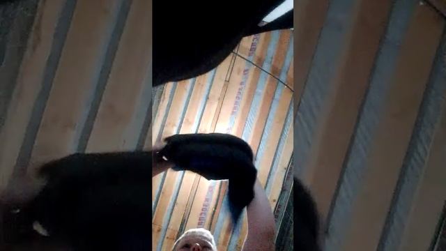 обзор сумки