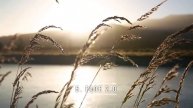 FREE Cinematic Luts | Color Grading | How to apply Luts in Adobe Premiere Pro | Lut Pack 2021