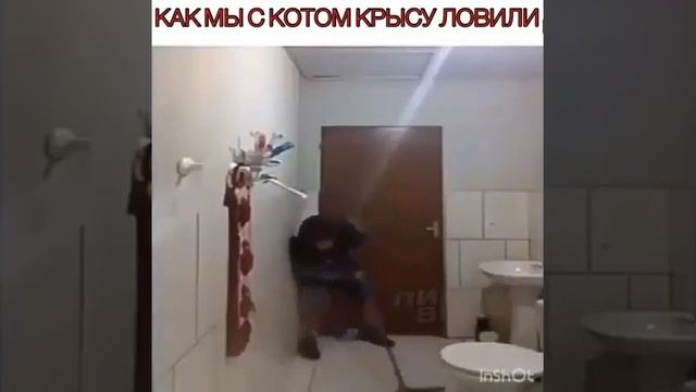 1000021236.mp4