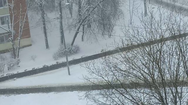 Снегопад только усиливается.