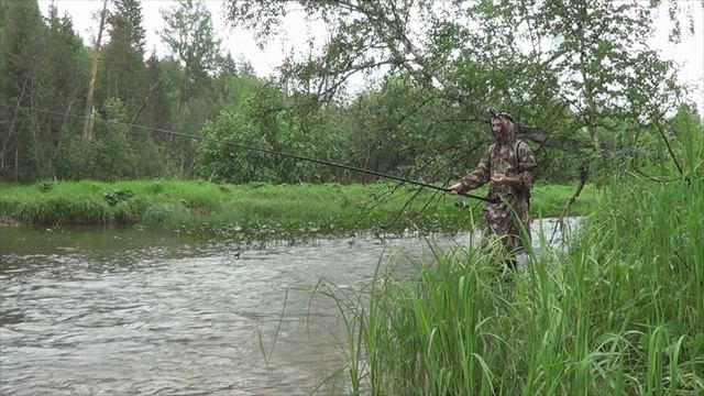 Секретная уральская река Куказар полная хариуса и другой рыбы