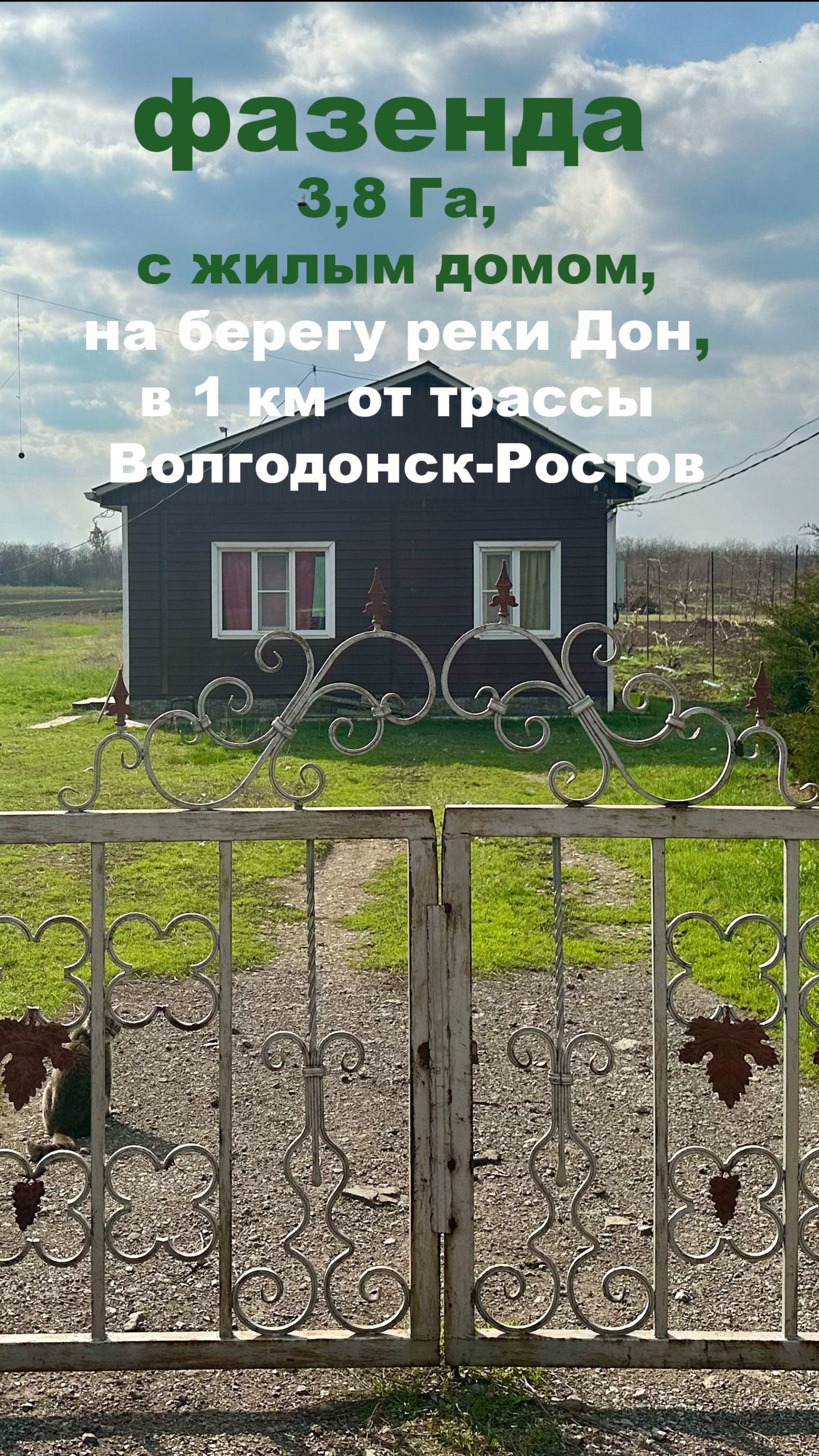 WhatsApp Video 2025-04-05 at 08.45.36