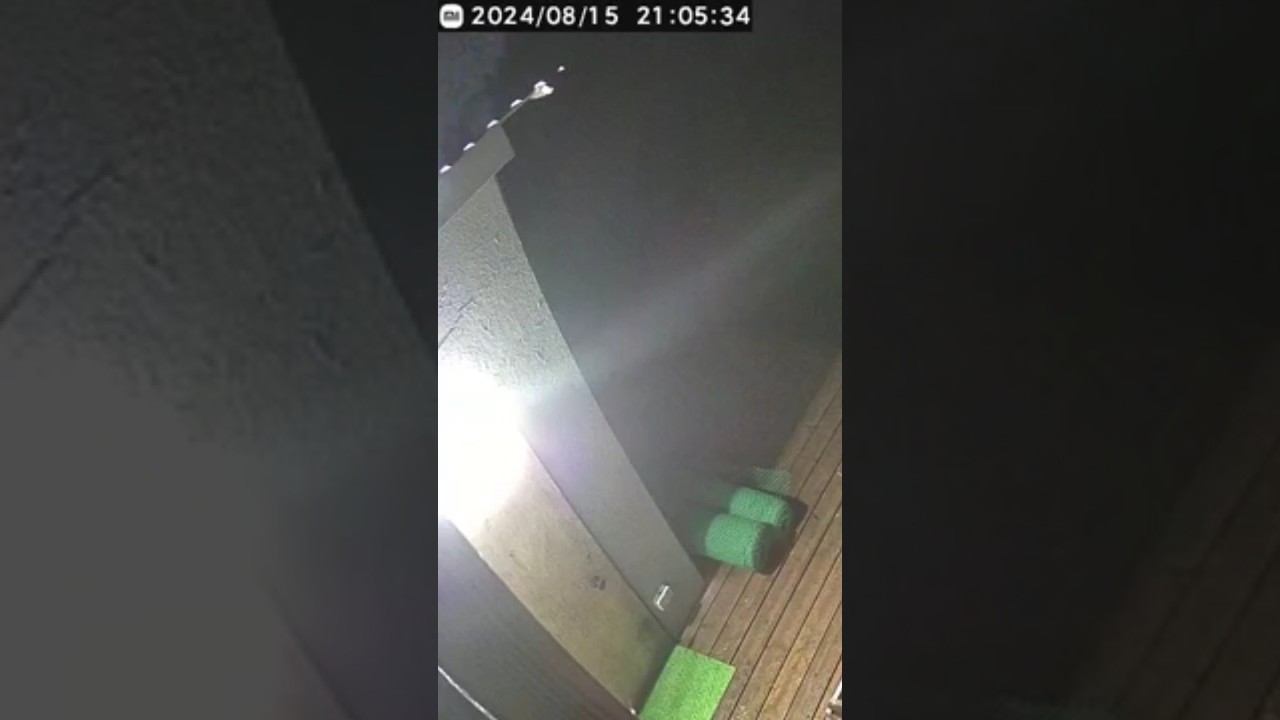 Попало в объектив