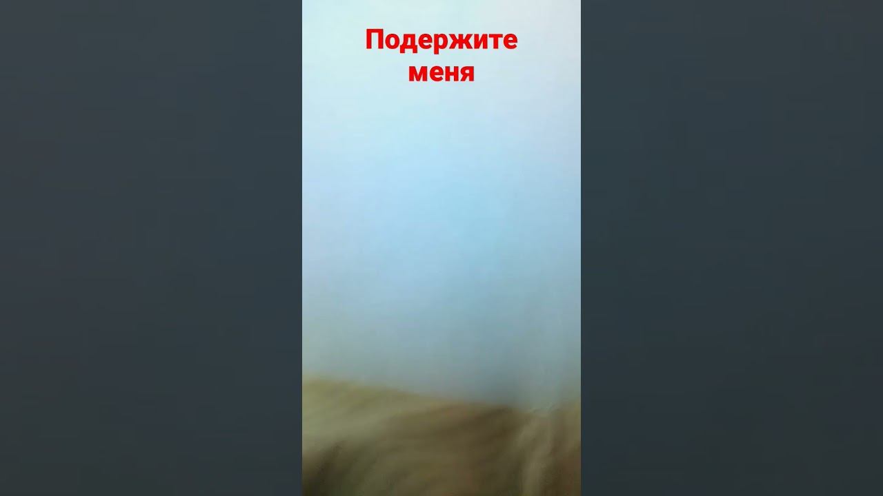 8 июня 2023 г.