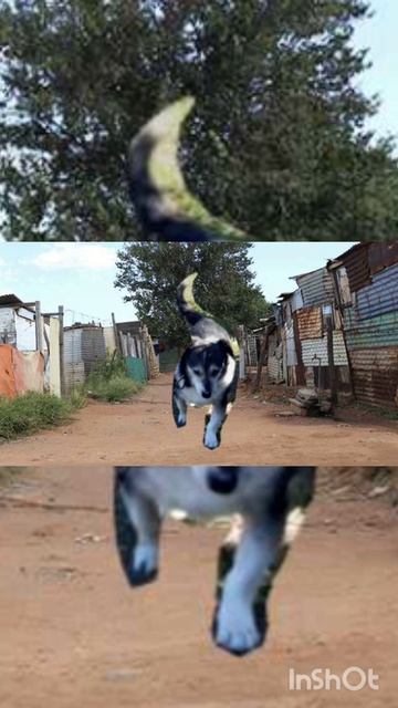 лео и тюря