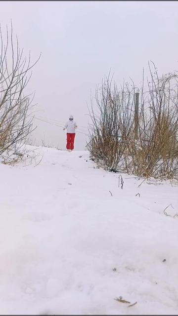 Люблю снегопад!