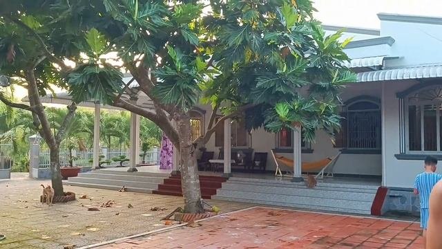 ANH TÂY RA MẮT MẸ KẾ, UỐNG CAFÉ  VIỆT NAM LẦN ĐẦU, ANH TÂY MÊ TRÁI CÂY MIỆT VƯỜN