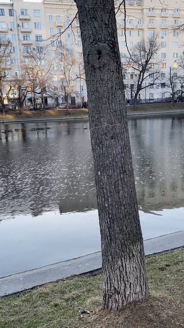 Чистые пруды