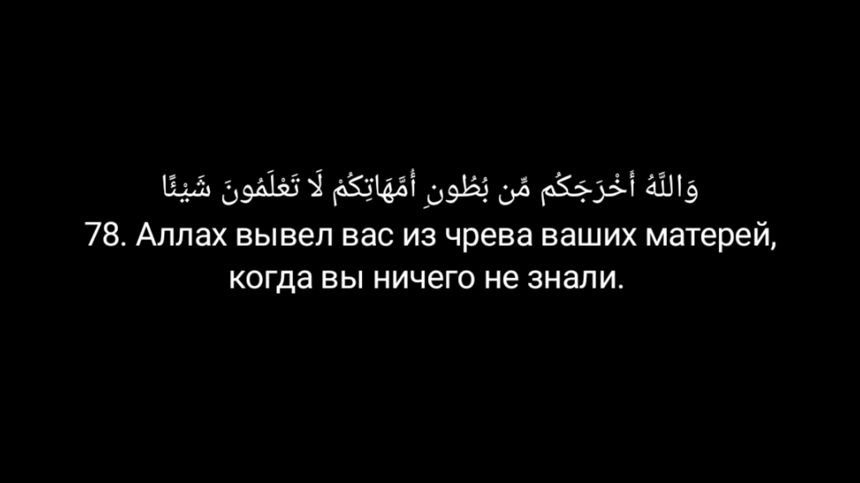 Сура Ан-Нахль (Пчёлы) 77-81 аяты. Мухаммад аль люхайдан 1424г