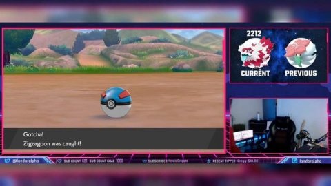 LIVE SHINY GALARIAN ZIGZAGOON REACTION!!! | Pokemon Sword and Shield