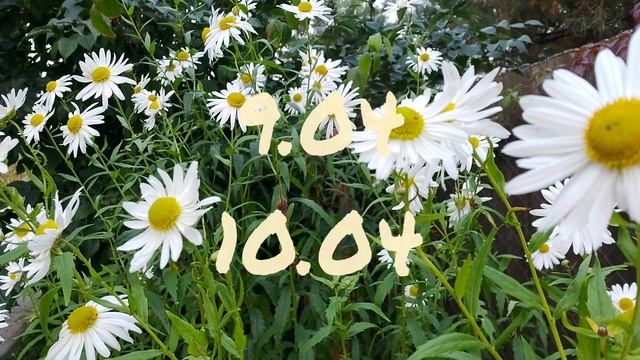 Лунный календарь для цветовода с7.04-13.04.25г.