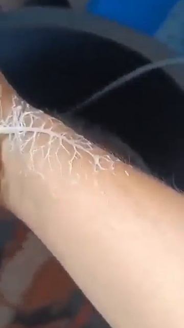 VID_20230725_191131_145.mp4