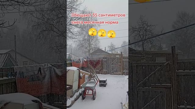А у нас опять зима 🌨🌨🌨
