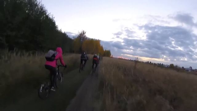 Чёрный бор 16.10.16