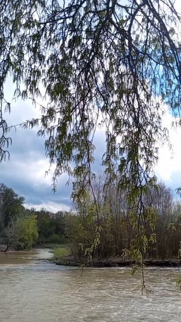 06.04.2025 #сегоднятак #сегодня #природа #nature #oggicosì #бүгін #oggi #hoy #今日 #today #오늘 #자연 #自然