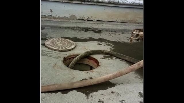 3 апреля 2025 г., 14:34:02
Двор П. Осипенко 48 парит
VID_20250403_143233816