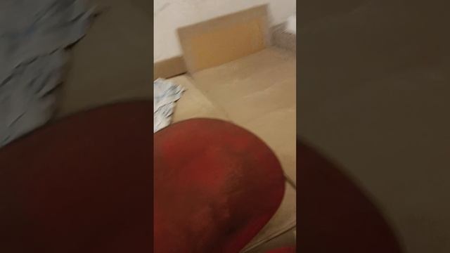 фнаф повторился😨