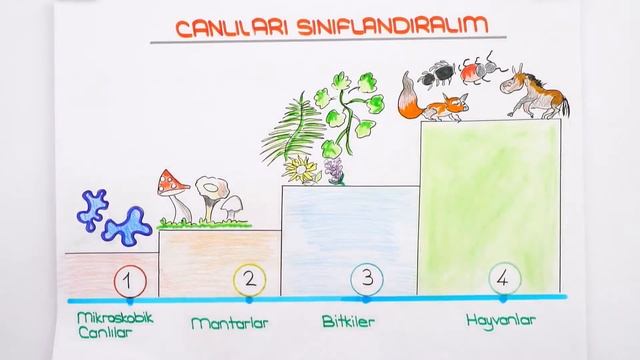 5. Sınıf Fen: Canlılar Dünyası: Mantarlar ve Mikroskobik Canlılar #2022