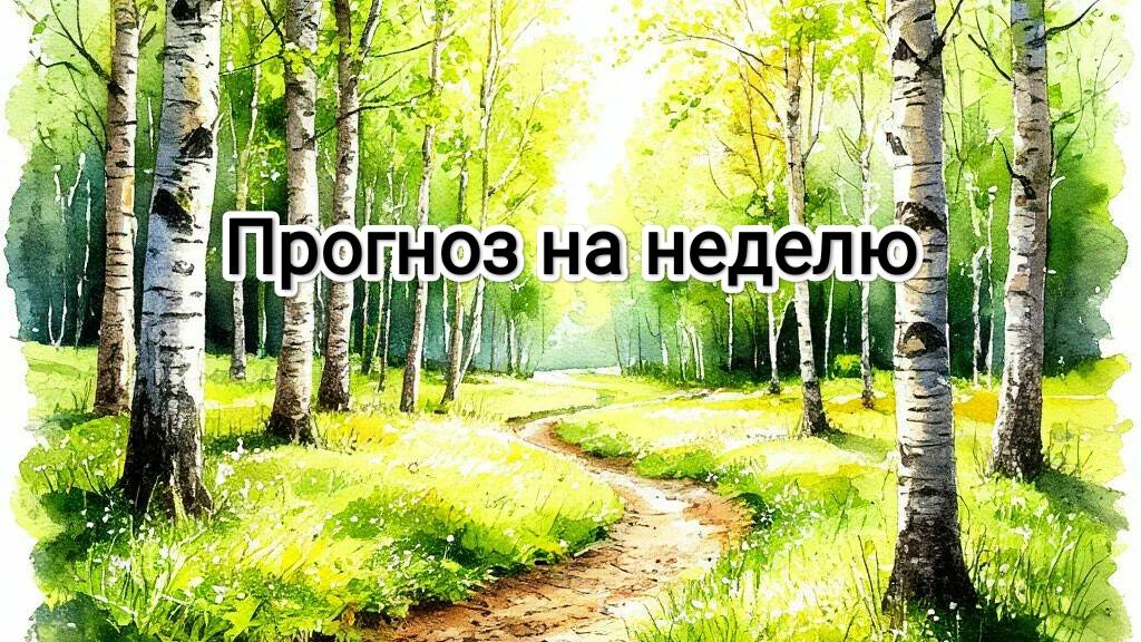 Расклад на неделю