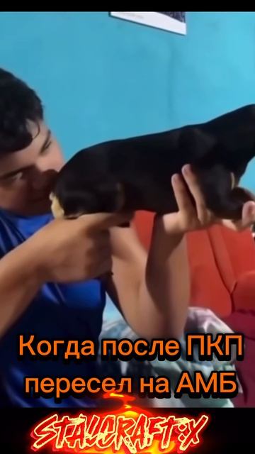 АМБ или ПКП | Stalcraft:X | #shorts