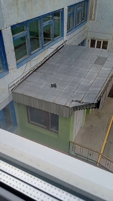 чей ботинок?