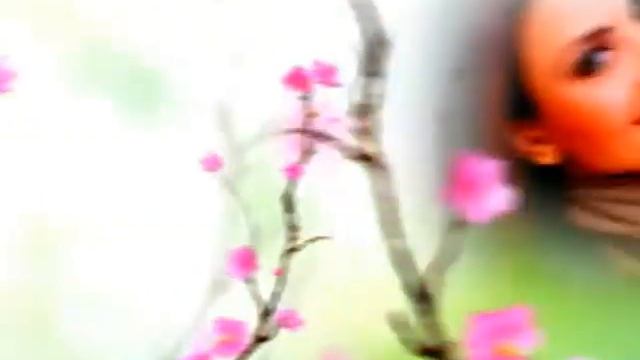 Цветы56 avi