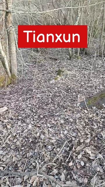 Металлокоп. Первые находки.