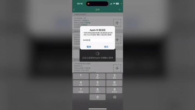 Как скачать тик ток на айфон навсегда!? Установить булфрог пк метод bulfrog