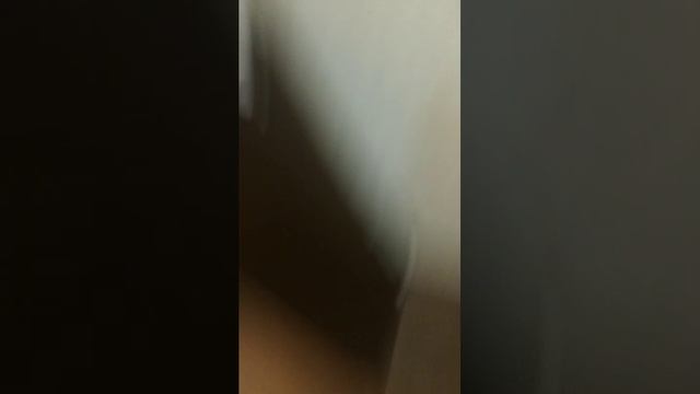 салам (