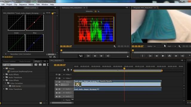 Premiere Pro: Remove Moire with Digital Anarchy Beauty Box